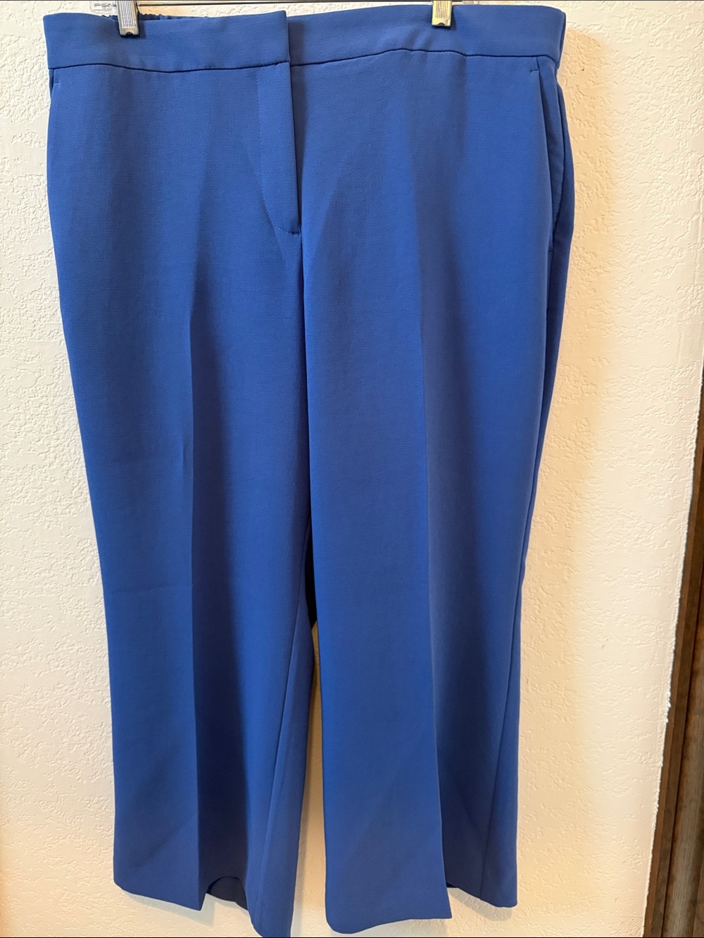 Ann Taylor Women’s Cropped Vibrant Blue Dress Pants